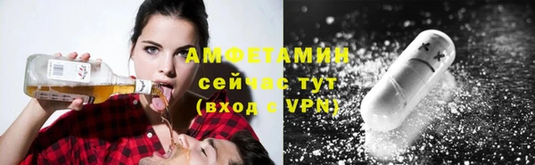 стаф Козловка