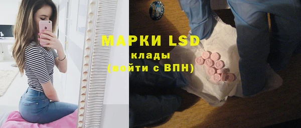 стаф Козловка