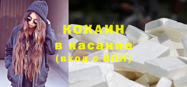 стаф Козловка