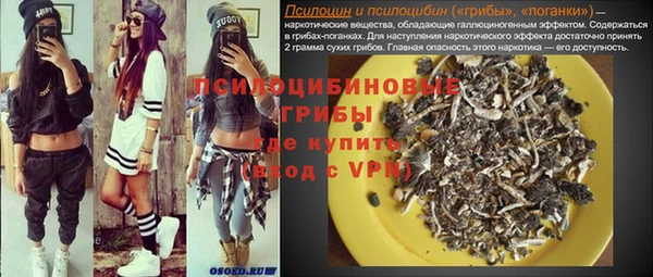 молекула духа Корсаков