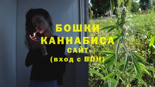 стаф Козловка