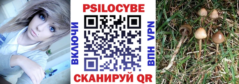 Купить закладки  Новоуральск  Псилоцибиновые грибы Magic Shrooms 