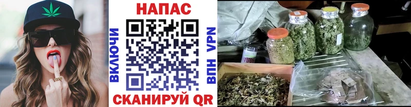 Купить где  Новоуральск  МАРИХУАНА LSD WEED 
